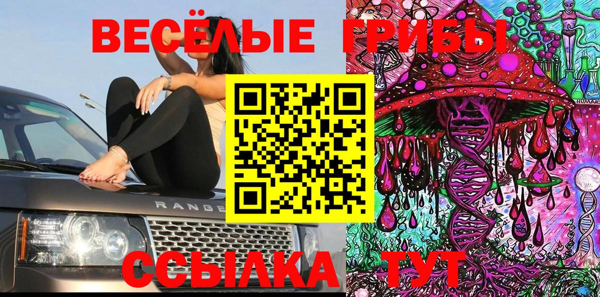 Псилоцибиновые грибы мицелий Скопин