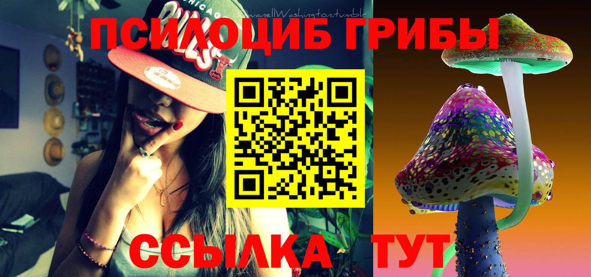 Псилоцибиновые грибы Cubensis  Вход с VPN  Скопин 